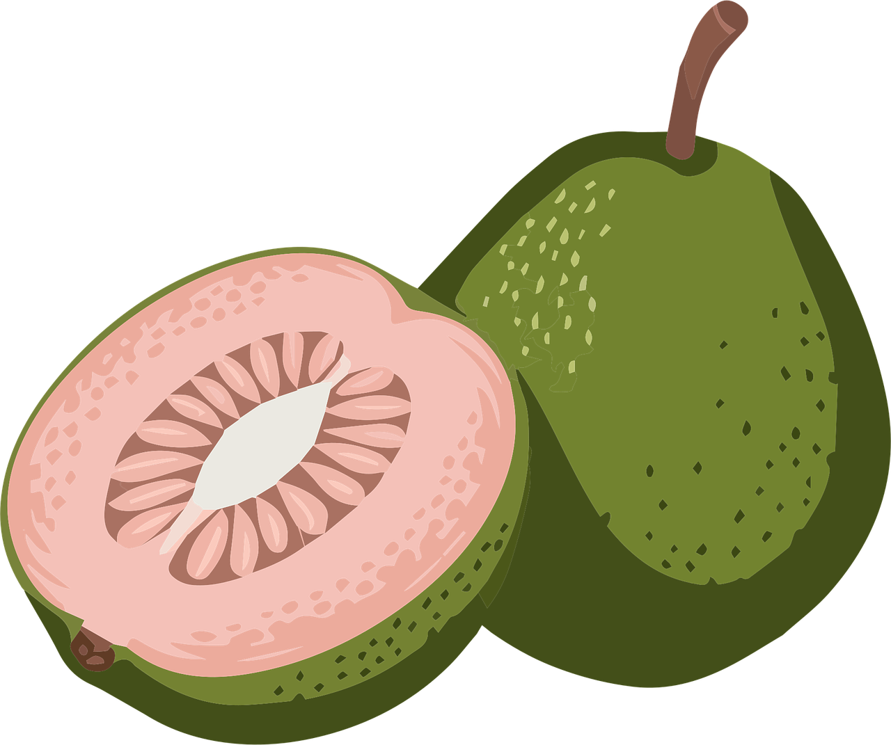 Download free HD stock image of Guava Flavor Vector Guava Fruit Vector Free guava flavor vector guava fruit vector tropical fruit vector vector
