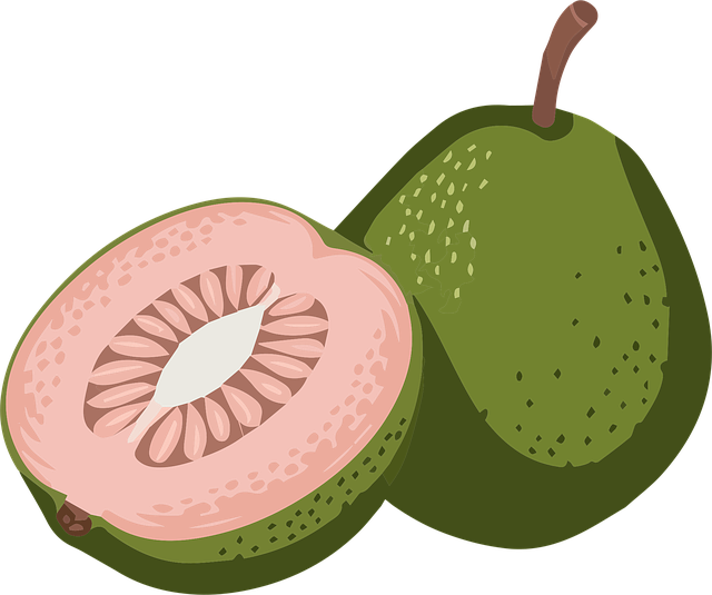 Free guava flavor vector guava fruit vector tropical fruit vector vector