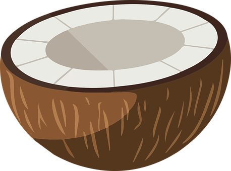 Free Half Open Coconut Vector vector and picture