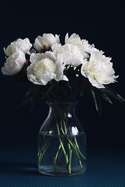 Witte Pioenrozen, Pioenrozen, Boeket