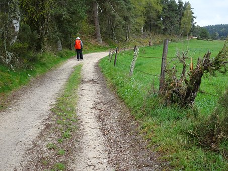 Stezka, Chůze, Francie, Camino, Plot