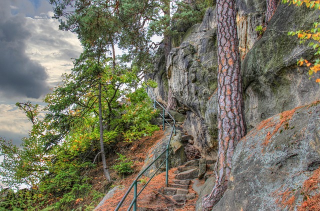Free Roost Ruin photo and picture