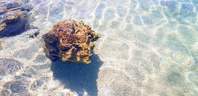 Free Sea Nature photo and picture