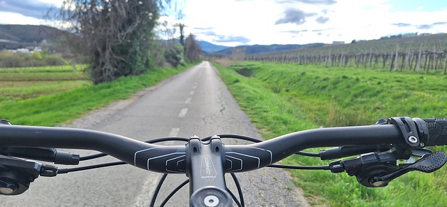 Free Bikes Road photo and picture