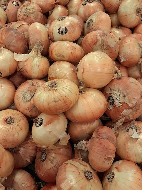 Free onions vegetables food illustration