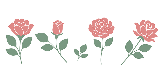 Rosas, Flores, Bloom, Florecer, Pétalos