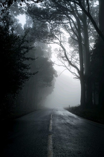 Nacht, Natur, Wald, Einsamkeit, Allein