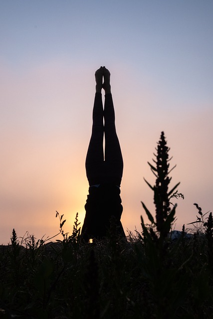 Yoga, Styrke, Kvinde, Balance, Passe