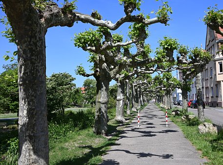 Parque Feuerbach De Espira, Speyer
