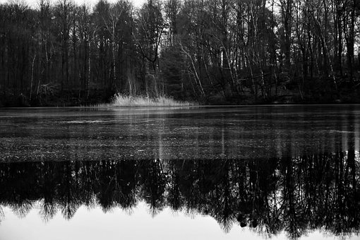 Free Waldsee Lake photo and picture
