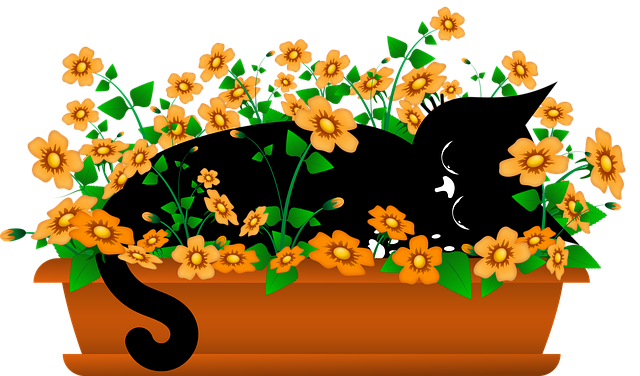 Free cat kitten black cats vector