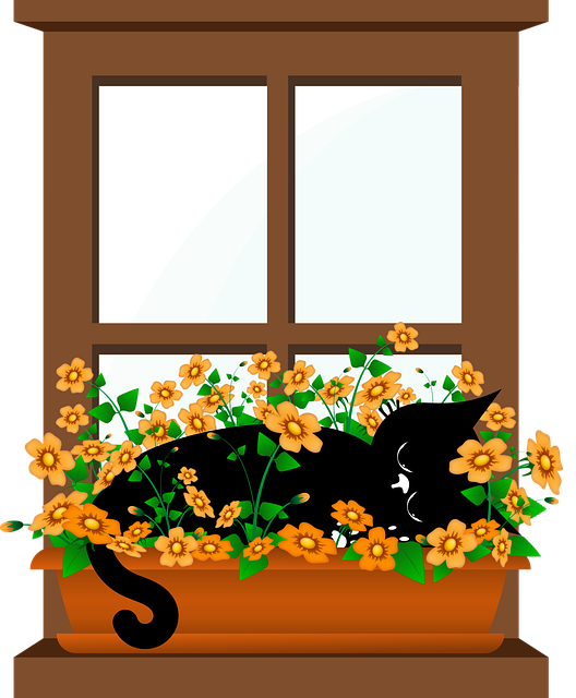 Free cat kitten black cats vector