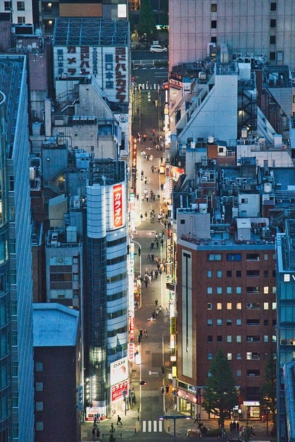 tokyo, japan, city, skyscraper, put up, the way, aerial photography, night