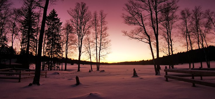 Free Winter Snow photo and picture