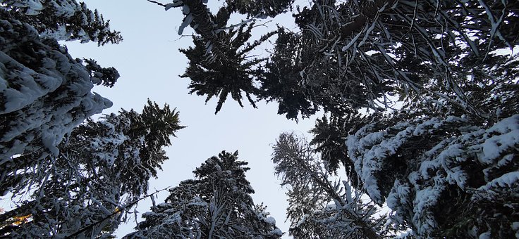 Free Snow Winter photo and picture