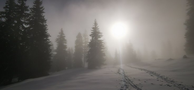 Free Snow Winter photo and picture