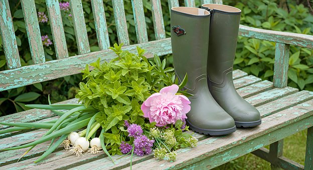 Free Summer Garden illustration and picture