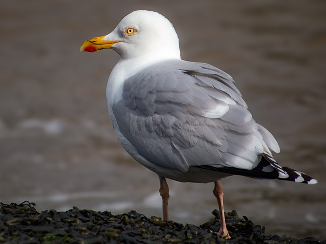 Free Sea Nature photo and picture