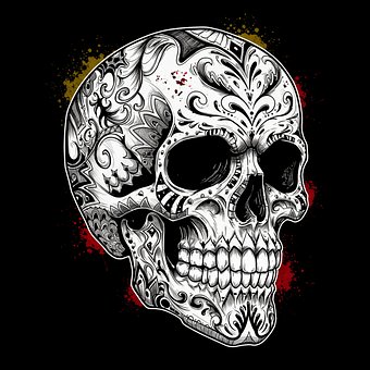 Free Design Skull illustration and picture