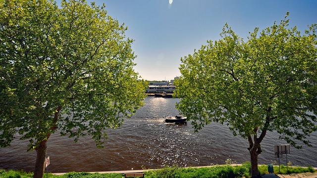 Free River Water photo and picture