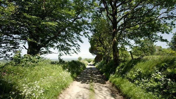 Free Bridle Path Wales photo and picture