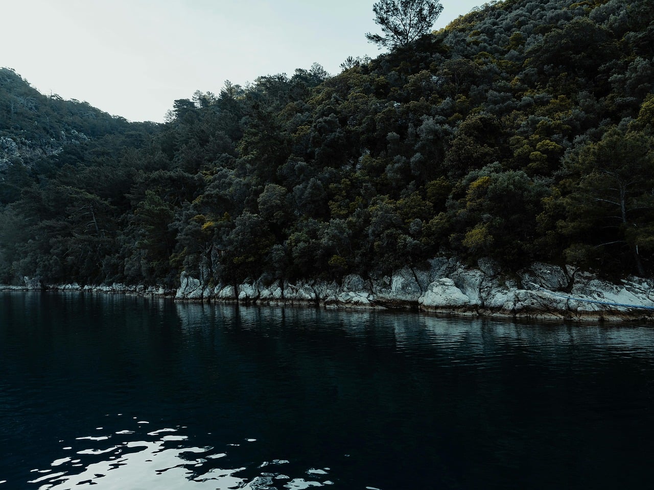 Lake - free online jigsaw puzzle photo