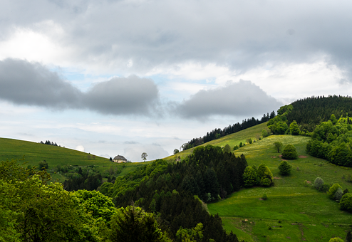 Free Landscape Black Forest photo and picture