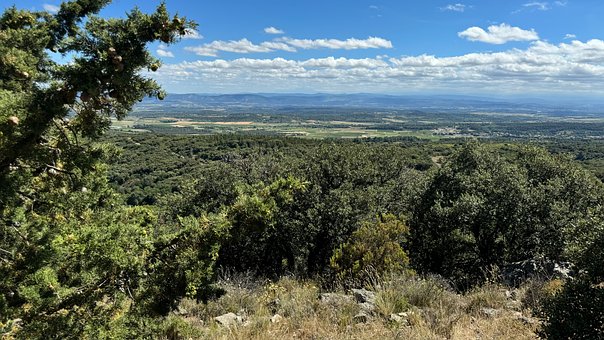 Free Nature France photo and picture