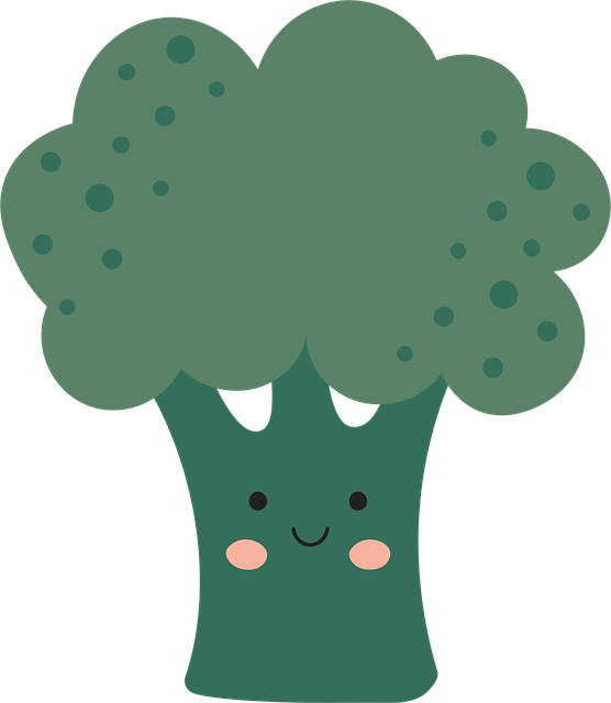 Free Vegetable Broccoli vector and picture
