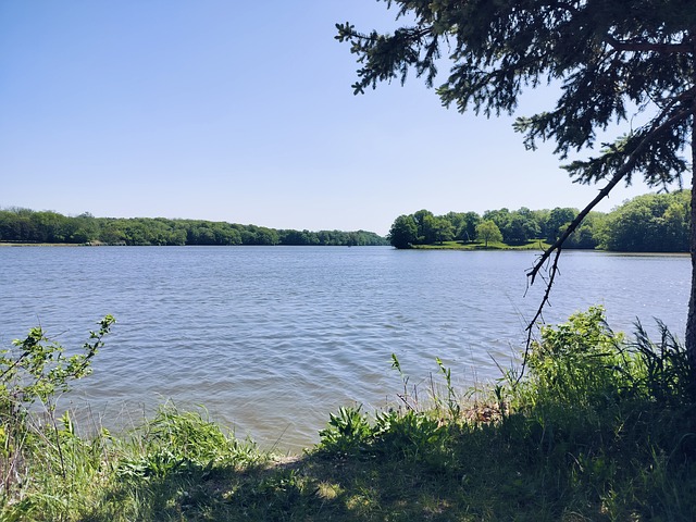 Free Lake Nature photo and picture
