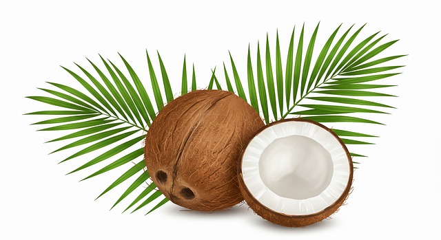 Free ai generated coconut tree fruit illustration