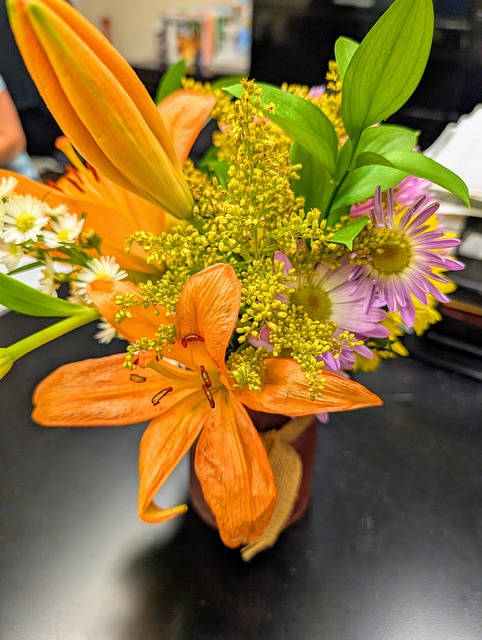 Free Lily Flower photo and picture