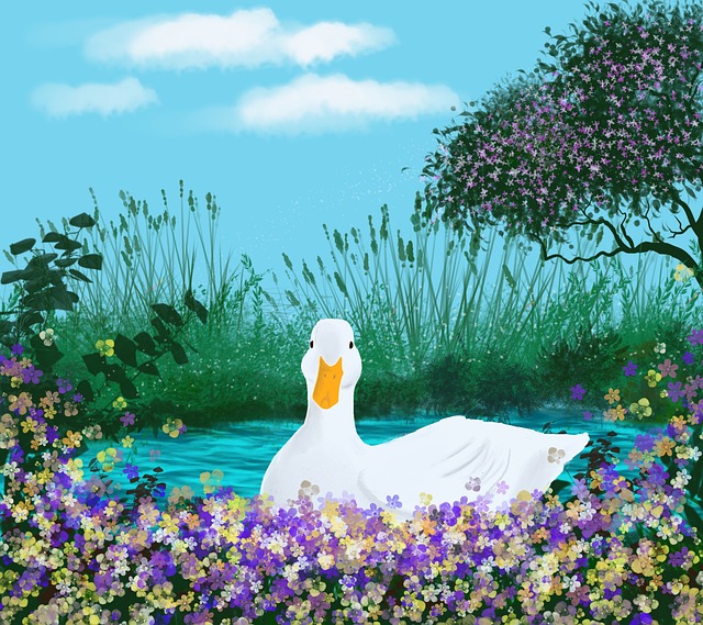 Free Duck Nature illustration and picture