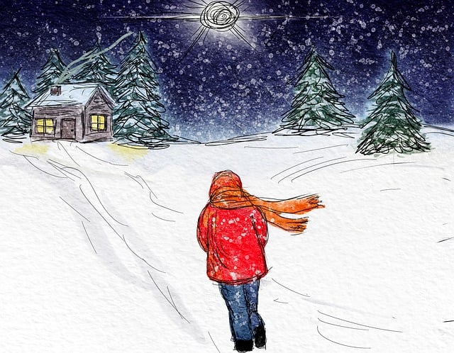 Free Winter Snow illustration and picture