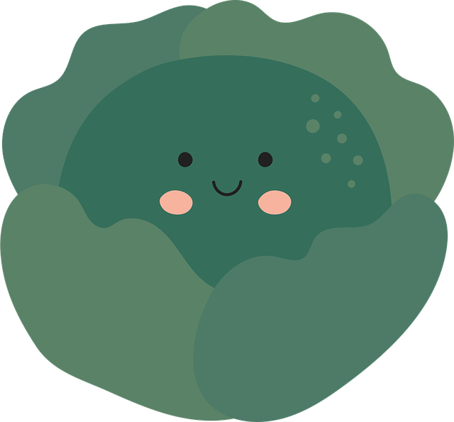 Free lettuce salad food vector