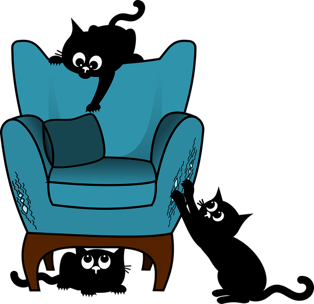 Free cat kitten black cats vector