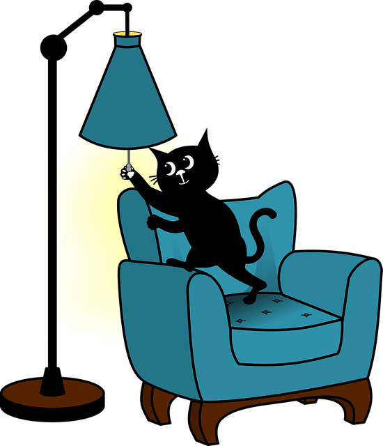 Free cat kitten black cats vector