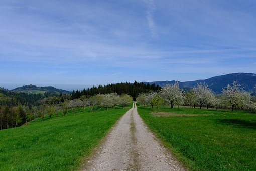 Schwarzwald, Fotturer, Eng, Vår, Utsikt