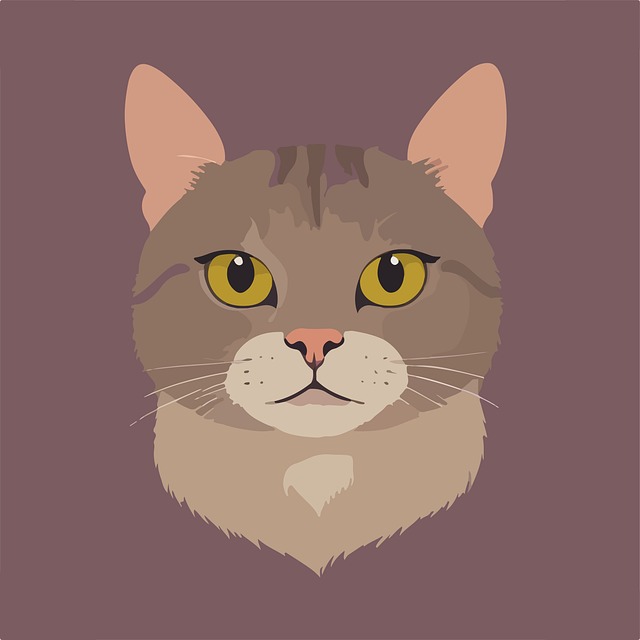 Free Cat Animal illustration and picture