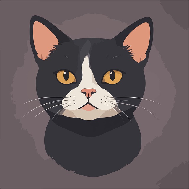 Free Cat Animal illustration and picture