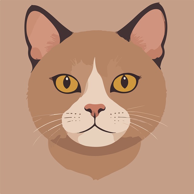 Free Cat Animal illustration and picture