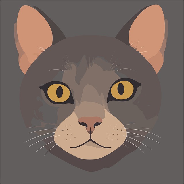 Free Cat Animal illustration and picture