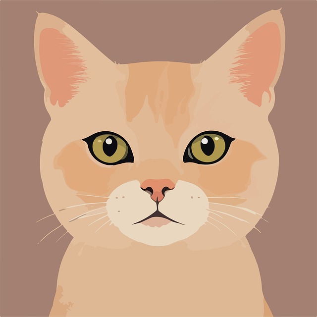 Free Cat Animal illustration and picture