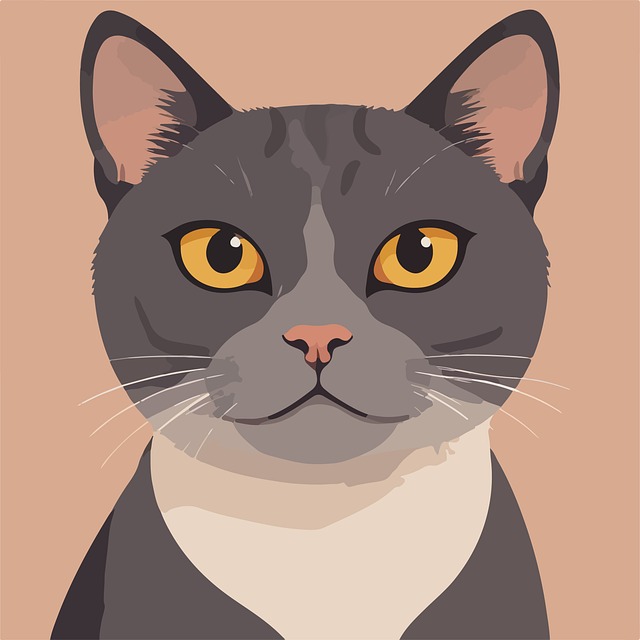 Free Cat Animal illustration and picture