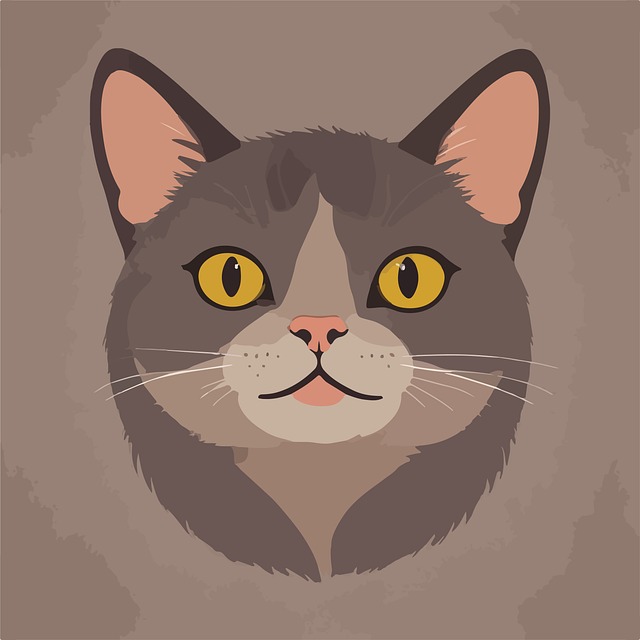 Free Cat Animal illustration and picture