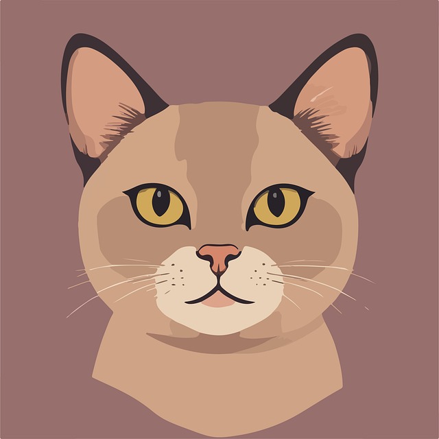 Free Cat Animal illustration and picture