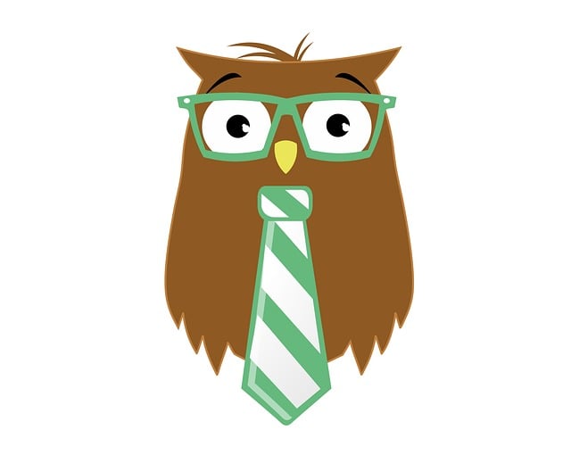 Free bird owl nature illustration