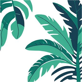 Palmtak, Palm, Branch, Boom, Natuur