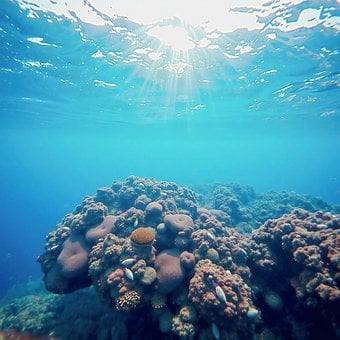 Oceaan, Zee, Natuur, Water, Golven