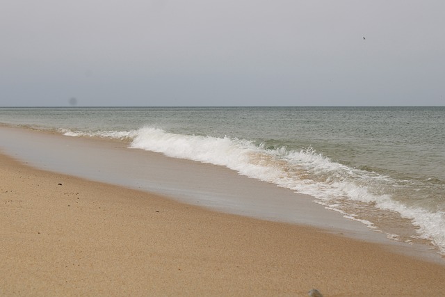Free Sea Nature photo and picture